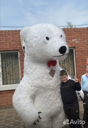 Поздравления медведя ростовая кукла белый медведь