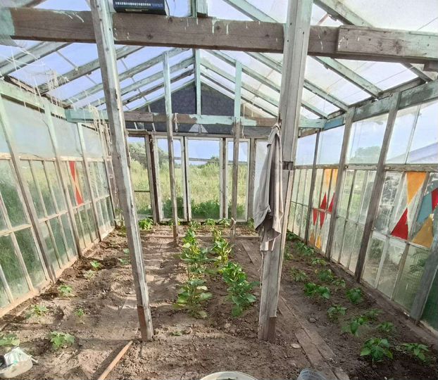 Участок 16 сот. (СНТ, ДНП)