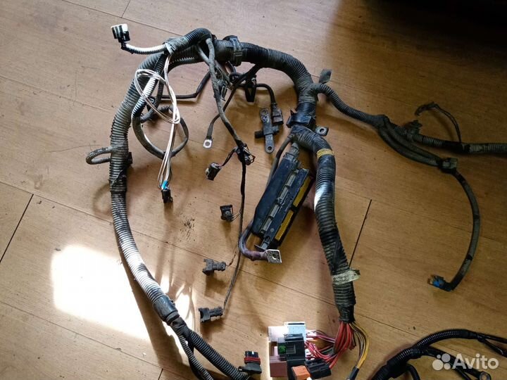 Коса моторного отсека Рено логан 1 1.4 8 клап