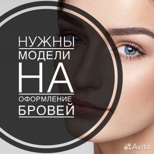 Мастер бровист