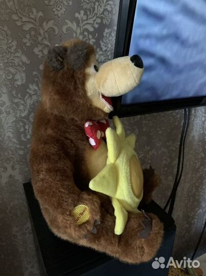 Медведь ночник