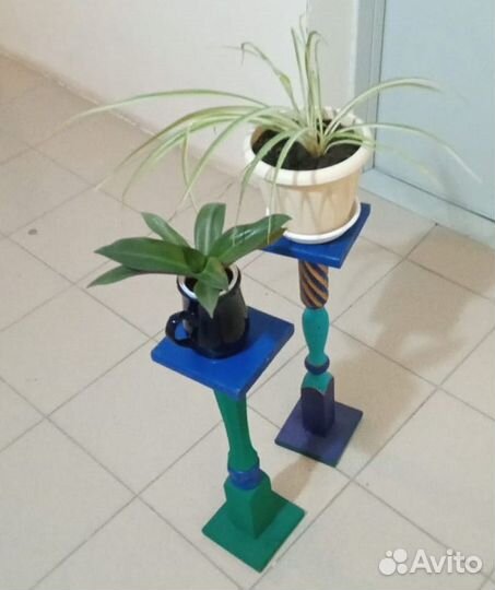 Комнатные растения: Хлорофитум рэо