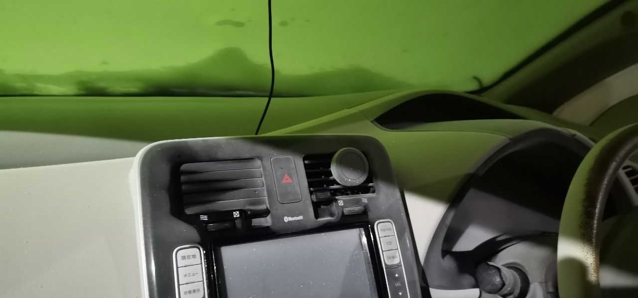 Nissan Leaf: фото владельца