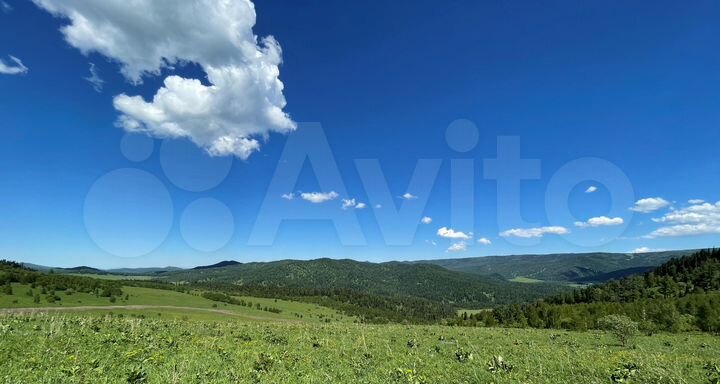 Участок 39,9 сот. (СНТ, ДНП)