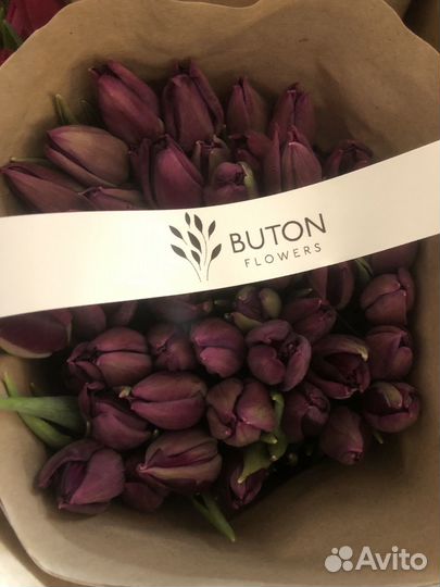 Тюльпаны к 8 марта оптом