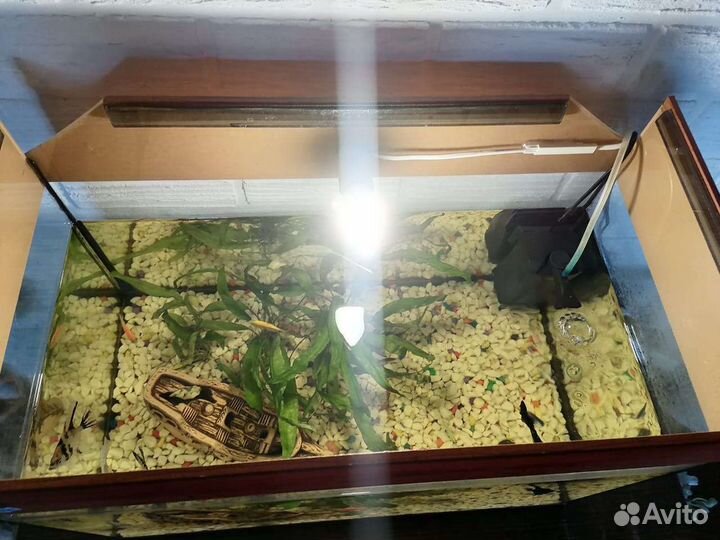 Аквариум с рыбками