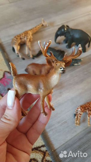 Фигурки животных schleich