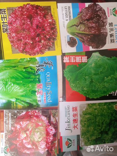 Китайские семена