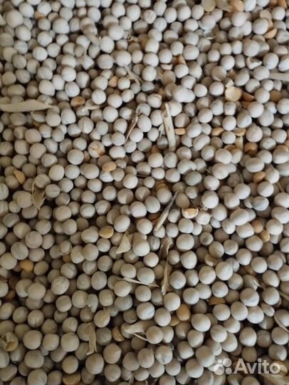 Продам горох 2023 года
