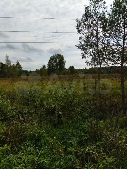 Участок 4 га (СНТ, ДНП)