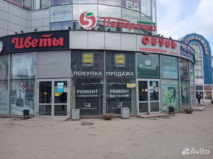 Беспроводная мышь Switch. Гарантия