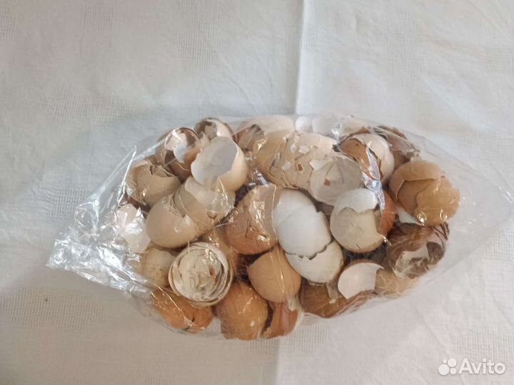 Яичная скорлупа