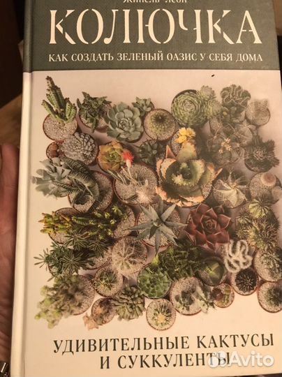 Книга о кактусах и суккулентах
