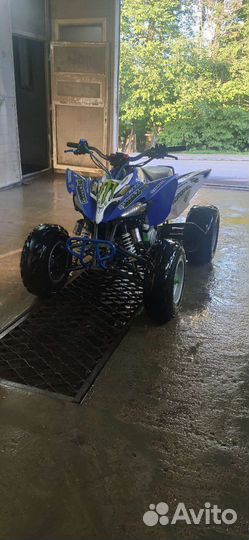 Panthera 250s