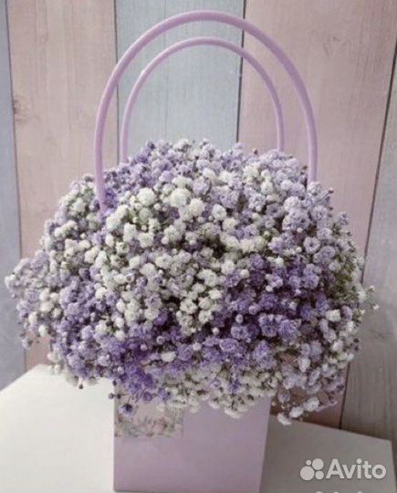 Букет к 1 сентября Гипсофила