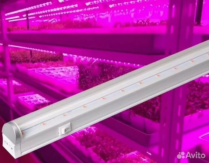 Фитолампа для растений