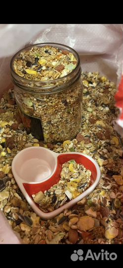 Лучший корм для хомяков, крыс