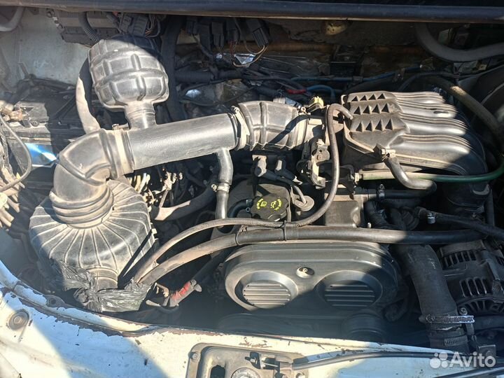 Разбор газель