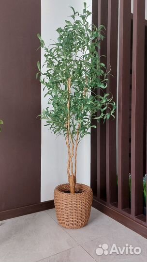 Искусственное дерево растение олива