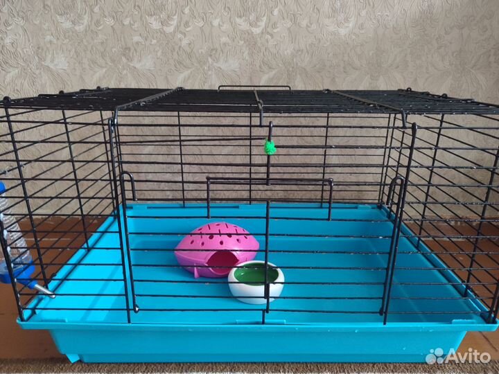 Клетка для грызунов бу