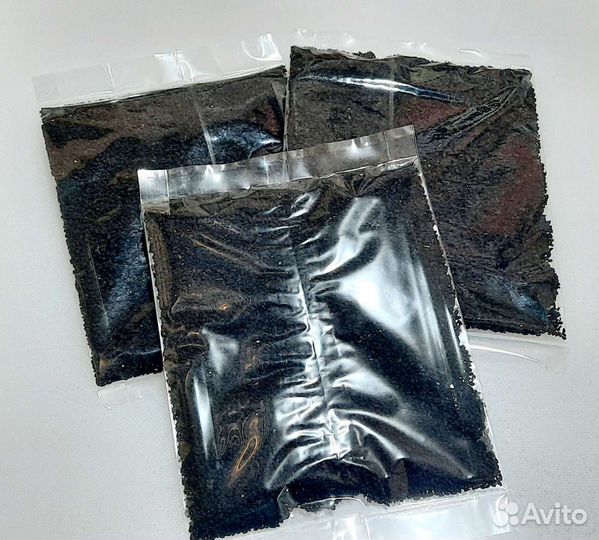 Тмин чёрный (нигелла,калинджи)