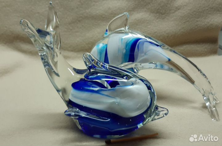 Дельфин, рыба-стекло