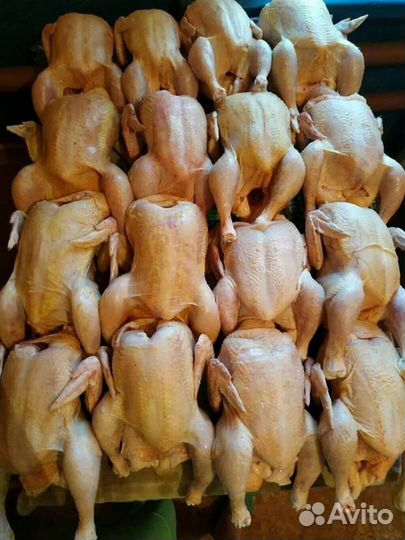 Домашнее мясо бройлеров/курицы