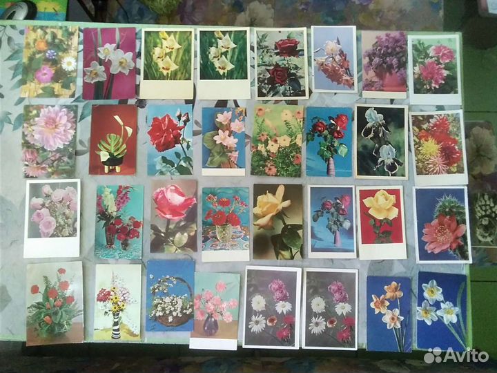 Открытки ссср. Цветы