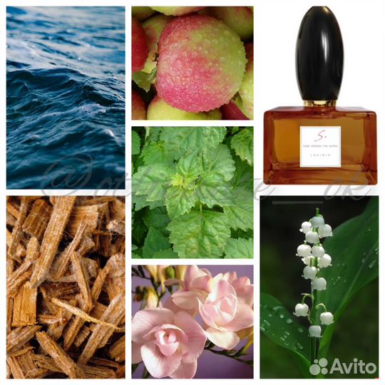 Распив Lavinia Esse Strikes The Notes