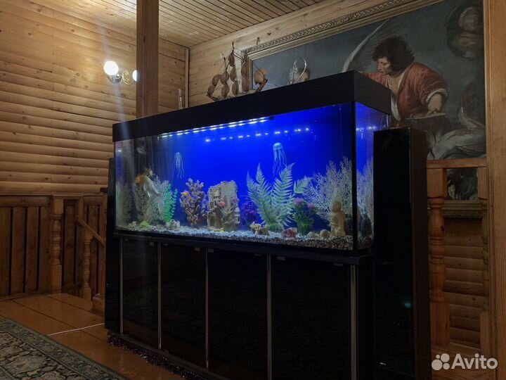 Аквариум с тумбой 400 литров в идеальном состоянии