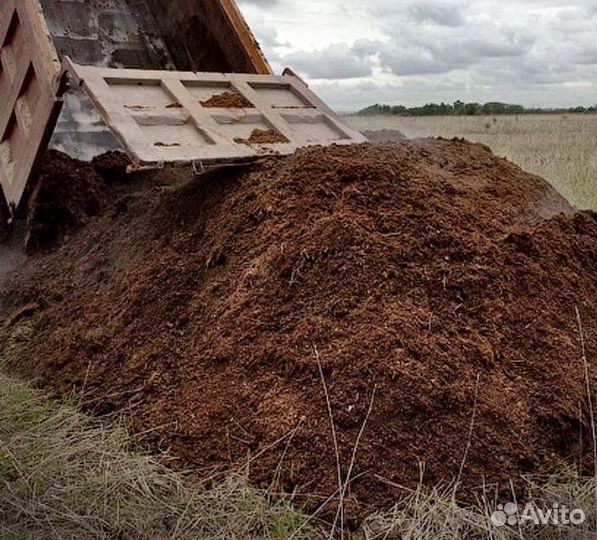 Доставка навоз конский