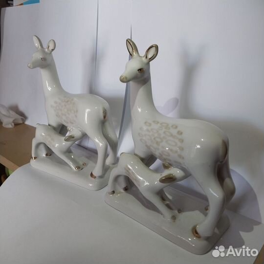 Олениха с олененком