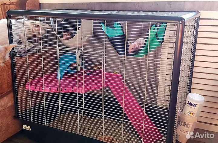 Клетка для грызунов большая Savic Zeno