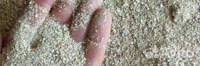 Ракушка для птицы