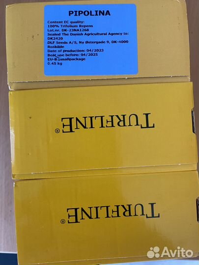 Семена многолетних трав