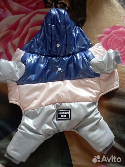 Комбинезон для собак мелких пород