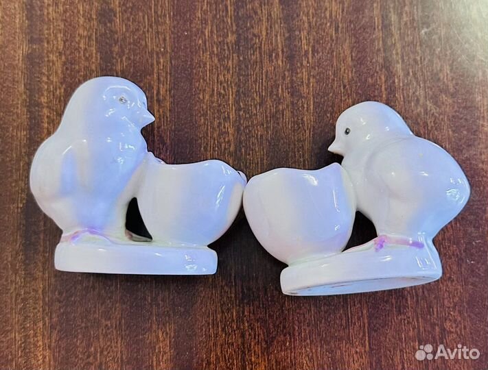 Пашотницы цыплята, Дулево