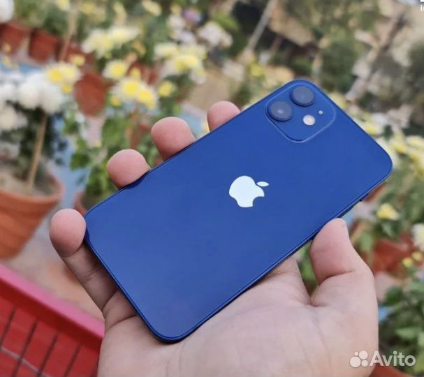 iPhone 12