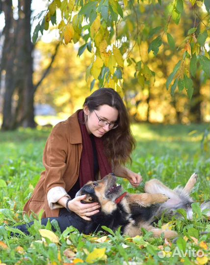 Необычный парень Джой