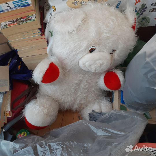 Плюшевый медведь