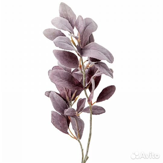 Декоративные ветки