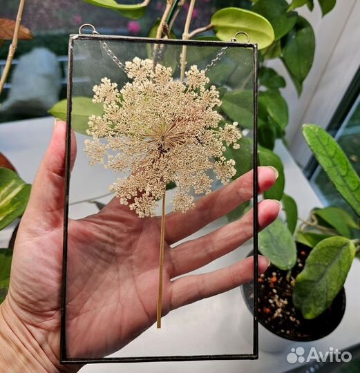 Цветы в стекле