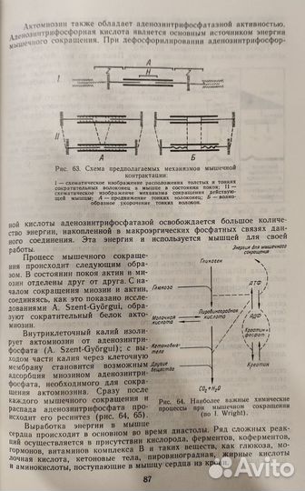 Клиника болезней сердца и сосудов. Нестеров В.С