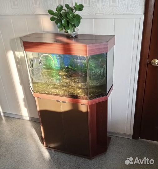 Аквариум + тумба