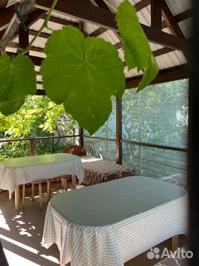 Отдых в Архипо-Осиповке