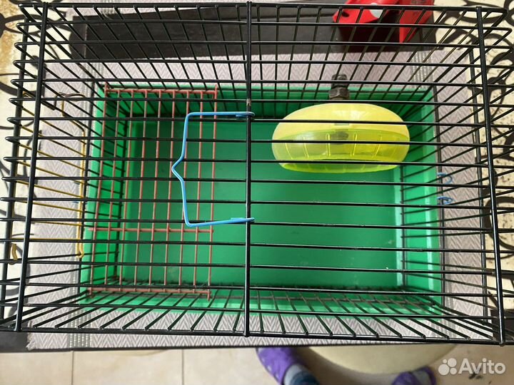 Клетка-переноска для грызунов