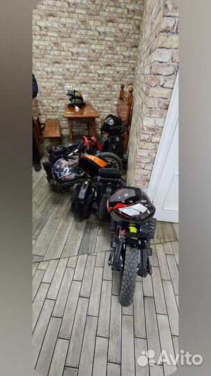 Моноколесо, - научу ездить, дам покататься