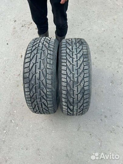 Tigar Ice 205/55 R16