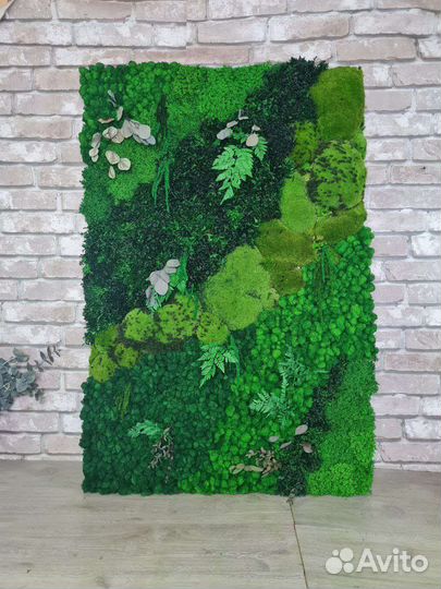 Мох стабилизированный оптом и в розницу