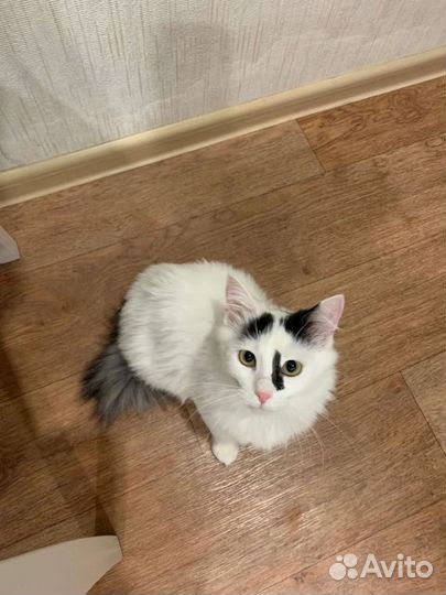 Помогите спасти